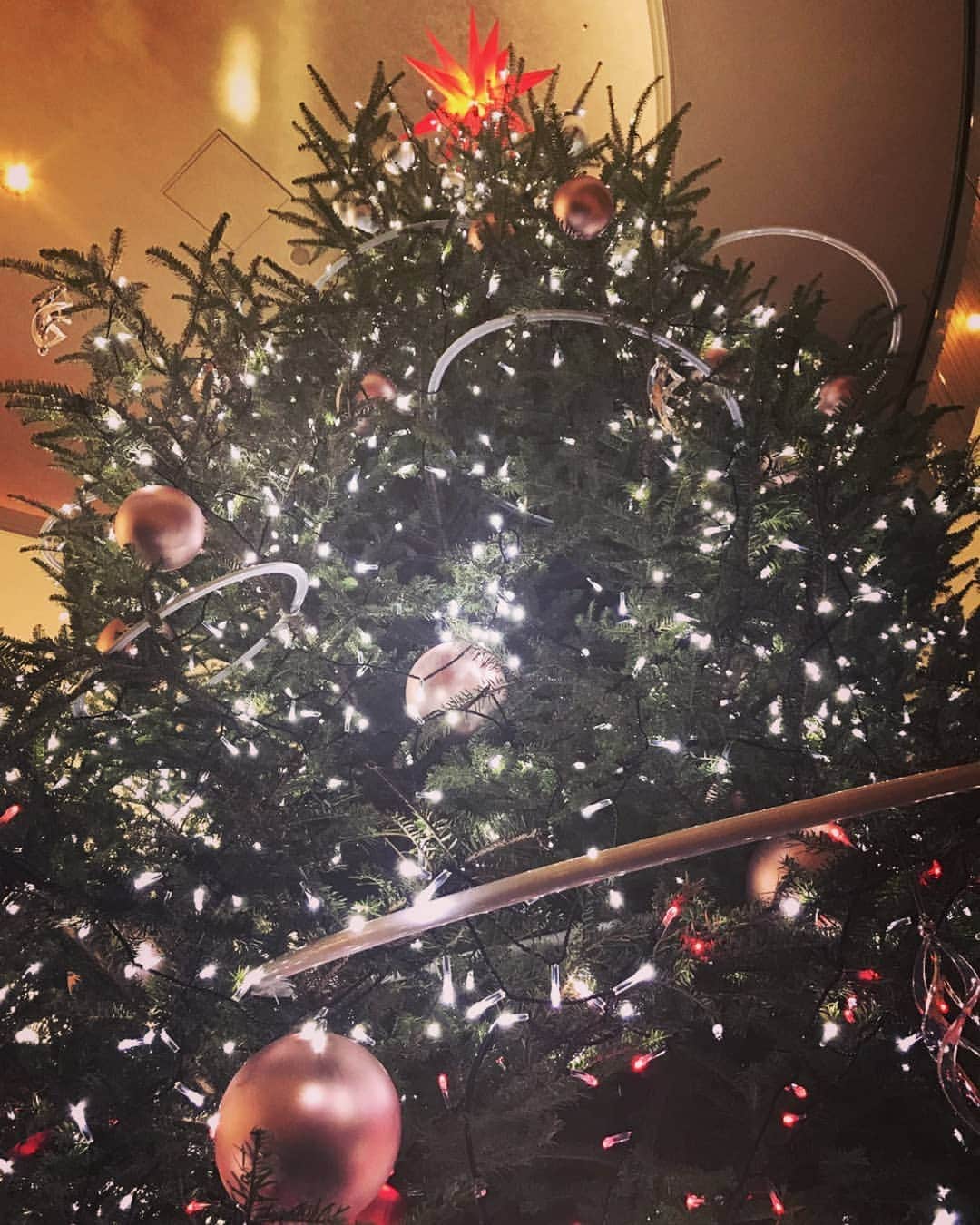 土屋太鳳さんのインスタグラム写真 - (土屋太鳳Instagram)「この季節は、 どこもかしこも本当に素敵✨  今、 クリスマスに向けての 素敵な小さな お買い物もしました＊  綺麗だったので、 おすそわけ *^^*」12月11日 12時31分 - taotsuchiya_official
