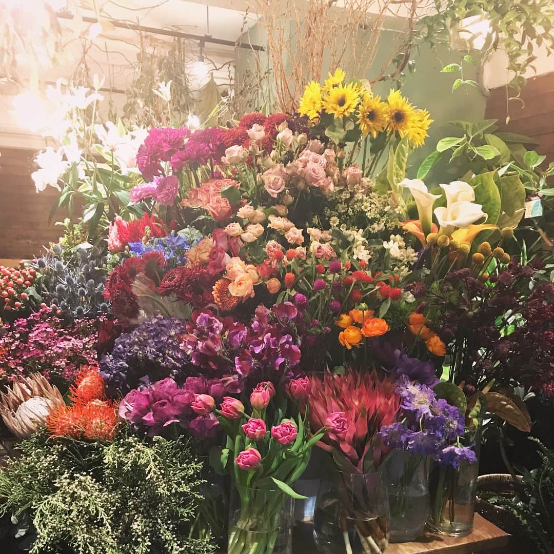 坂本美雨さんのインスタグラム写真 - (坂本美雨Instagram)「学芸大学のお花屋さん @the.daffodils.flowershop で、ユーカリ多めでスワッグを作ってもらった。いい香り…！ ずっと通いたいお花屋さん🌼 #thedaffodilsflowershop」12月11日 19時51分 - miu_sakamoto
