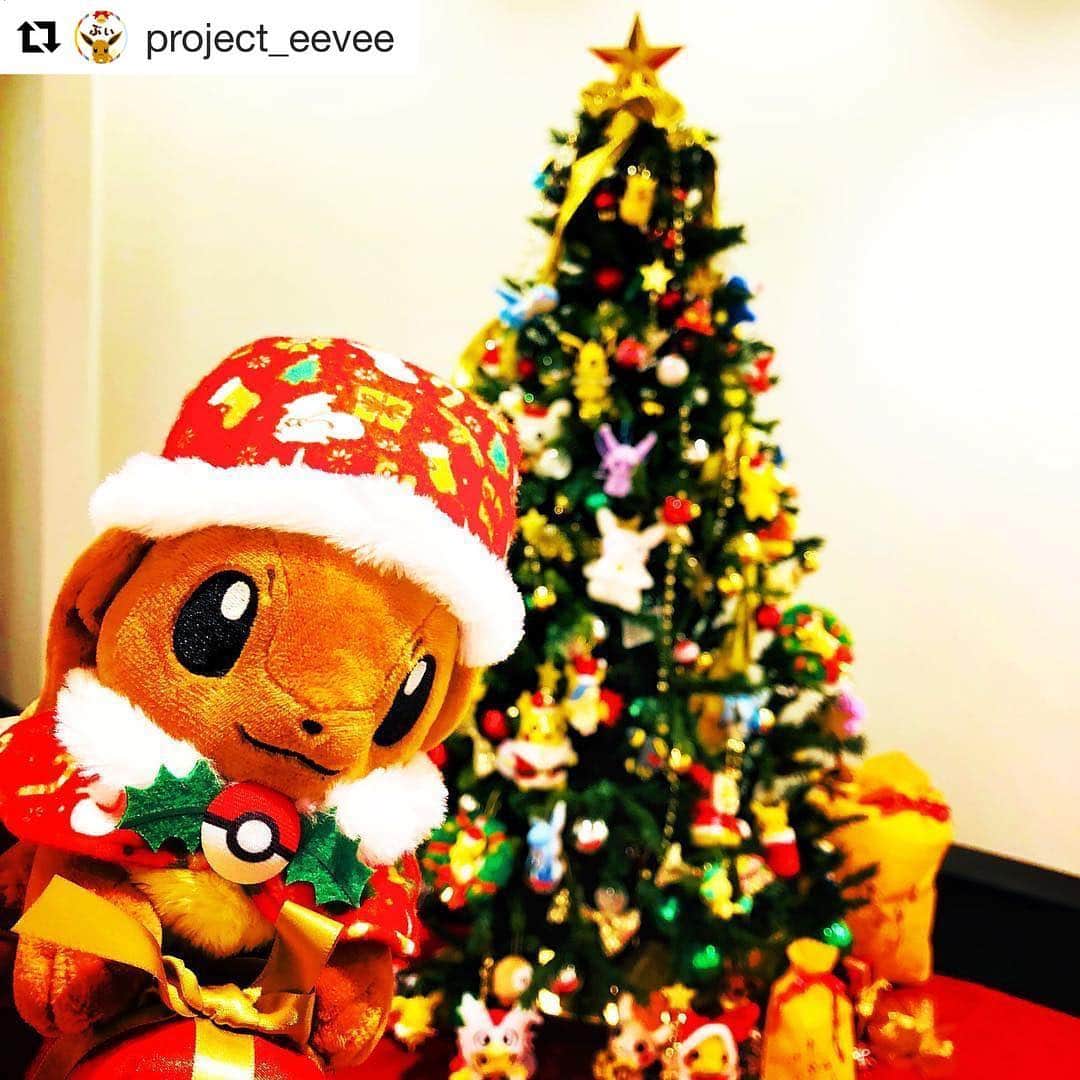 ピカチュウ公式instagramさんのインスタグラム写真 ピカチュウ公式instagraminstagram Repost Project Eevee クリスマスイーブイ まであと12日 イーブイも準備で大忙し ツリーの飾りつけはバッチリだね みんなも写真 イラストを投稿して