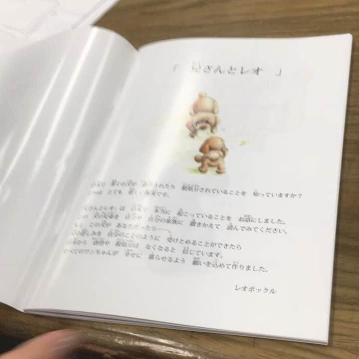 のインスタグラム：「#レオポックル#兄さんとレオ#虐待殺処分のない日本へ」