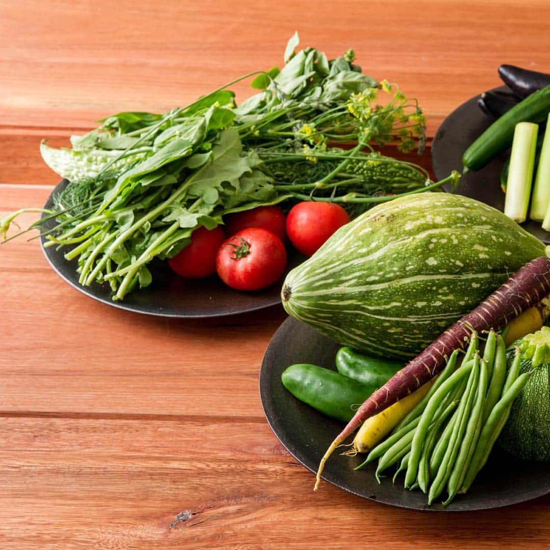 SION canteen&のインスタグラム：「. SION canteen& . 無農薬、有機栽培のお野菜を使ったSIONの野菜料理の数々😊 . #SION #sioncanteen #シオン #キャンティーンアンド #大阪 #淀屋橋 #北浜 #本町 #大阪ランチ #ランチ #野菜 #有機野菜 #旬 #食材 #季節 #料理 #ワイン #洋食の新しい形 #木 #温もり #空間 #無農薬 #有機栽培 #野菜 #vegetables」