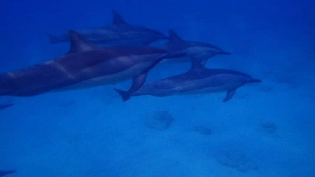 阿島ゆめのインスタグラム