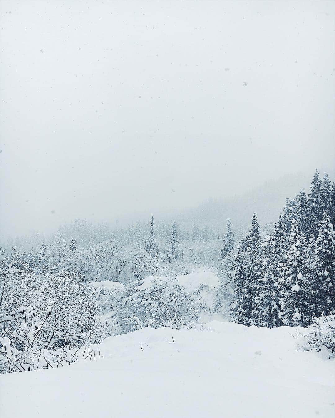 花盛友里のインスタグラム：「Such a beautiful view.... Can’t believe this is real!!! . . #里山十帖 #新潟 #niigata #snow」