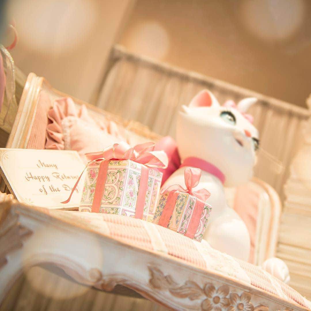 東京ディズニーリゾートのインスタグラム