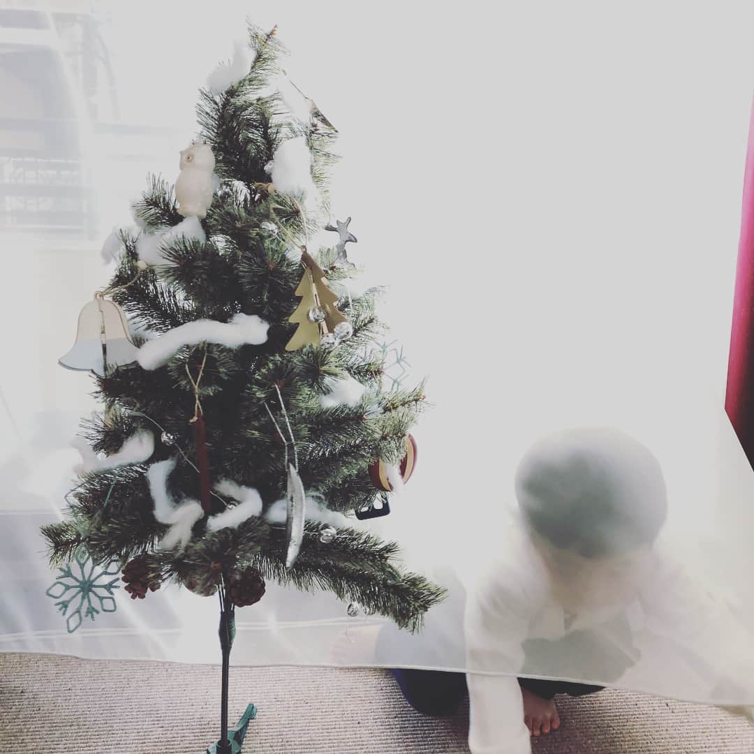 浜島直子さんのインスタグラム写真 - (浜島直子Instagram)「やっとクリスマスツリーを出せた〜🎄 今年は息子が張り切って、ふんわり雪が多めのツリーに仕上がりました❄️ なかなかいいんじゃない👍 ・ #と思ったら #吹雪に襲われるクリスマスツリー🎄 #ガンバ😭 #クリスマスツリー」12月14日 14時39分 - hamaji_0912