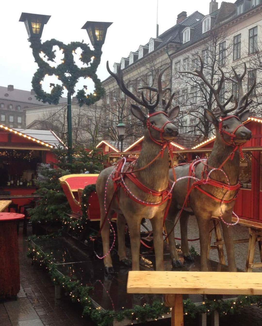ANDERSEN アンデルセンさんのインスタグラム写真 - (ANDERSEN アンデルセンInstagram)「《デンマーク便り》 . コペンハーゲンにある アンデルセン イスランズブリュッゲ店で研修中の スタッフより、クリスマス🎄の写真が届きました。 . 街中、すっかりクリスマスの雰囲気。 . クリスマスマーケットも開催されていて、 クリスマスツリー用のもみの木も 売られています。 . もうすぐクリスマスですね♪ . アンデルセンのクリスマスブログ🎄でもご紹介しています。プロフィールのリンクよりご覧ください。 →@andersen_official_jp  #アンデルセン #ベーカリー #パン #デンマーク #ヒュッゲ #デニッシュペストリー #ペストリー #アンデルセンイスランズブリュッゲ店 #コペンハーゲン #アンデルセンデンマーク . #andersen #bakery #bread #instabread #instafood #danishpastry #danish #denmark #copenhagen #israndsbrygge #HYGGE #hygge #christmas #christmasmarket」12月14日 15時06分 - andersen_official_jp