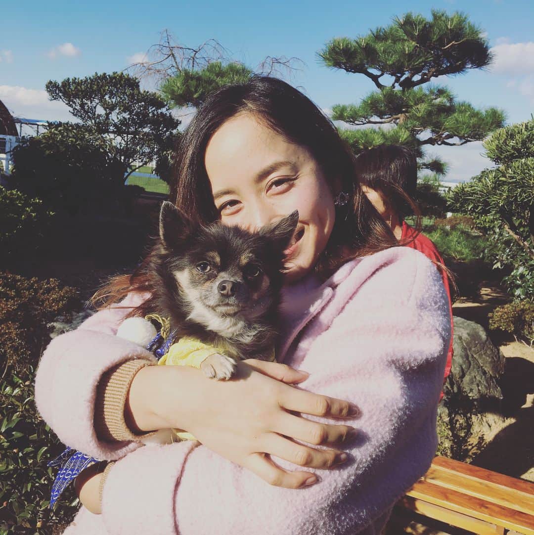 武田訓佳さんのインスタグラム写真 - (武田訓佳Instagram)「年賀状、もう準備しましたか？？ 今日から受付開始ですね☺︎ 12/15〜25 に投函すれば元旦に届けてくれる年賀状📮 ちなみに52円で届けてくれるのは、 12/15〜1/7 投函分のみ！です📮  そろそろ準備しなくちゃ♪♪ #ten #イチバン #年賀状 #マステ #マスキングテープ #アレンジ #手作り年賀状 #ワールド牧場 #わんちゃんと年賀状用の写真撮れます #黒チワワのげんちゃん #芝犬の棟梁 #みんなお利口さん #たまに暴れん坊 #きゅんきゅんできます #おススメ #来週は新年にオススメなもの紹介します #たけロケ日誌」12月15日 12時28分 - kunika0117