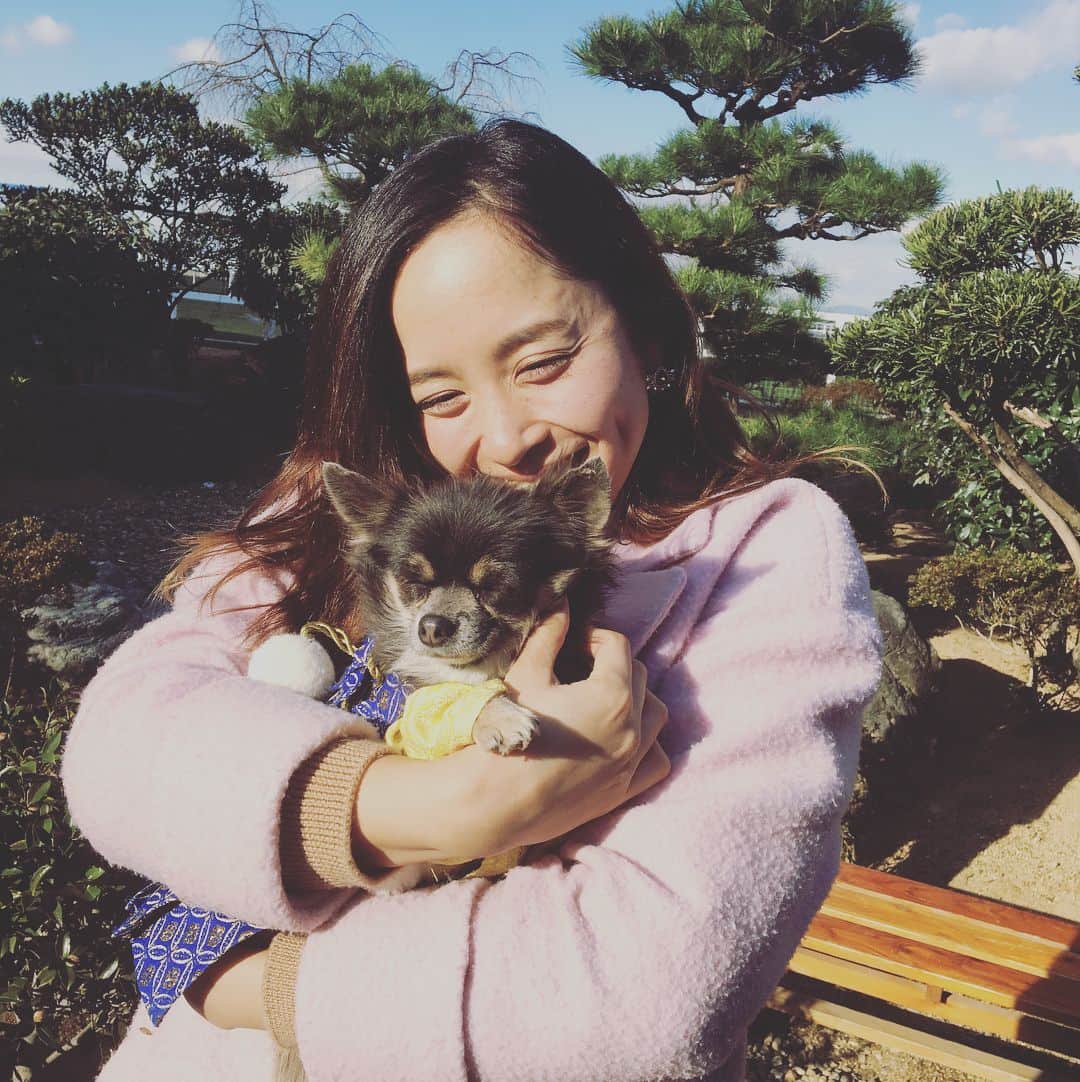 武田訓佳さんのインスタグラム写真 - (武田訓佳Instagram)「年賀状、もう準備しましたか？？ 今日から受付開始ですね☺︎ 12/15〜25 に投函すれば元旦に届けてくれる年賀状📮 ちなみに52円で届けてくれるのは、 12/15〜1/7 投函分のみ！です📮  そろそろ準備しなくちゃ♪♪ #ten #イチバン #年賀状 #マステ #マスキングテープ #アレンジ #手作り年賀状 #ワールド牧場 #わんちゃんと年賀状用の写真撮れます #黒チワワのげんちゃん #芝犬の棟梁 #みんなお利口さん #たまに暴れん坊 #きゅんきゅんできます #おススメ #来週は新年にオススメなもの紹介します #たけロケ日誌」12月15日 12時28分 - kunika0117