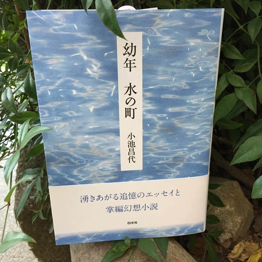 小池昌代さんのインスタグラム写真 - (小池昌代Instagram)12月15日 21時43分 - koikemasayo