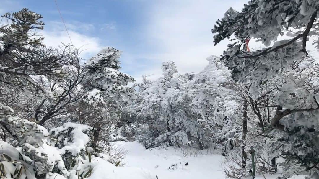 コ・ボギョルのインスタグラム：「#korea #hallasanmountain」