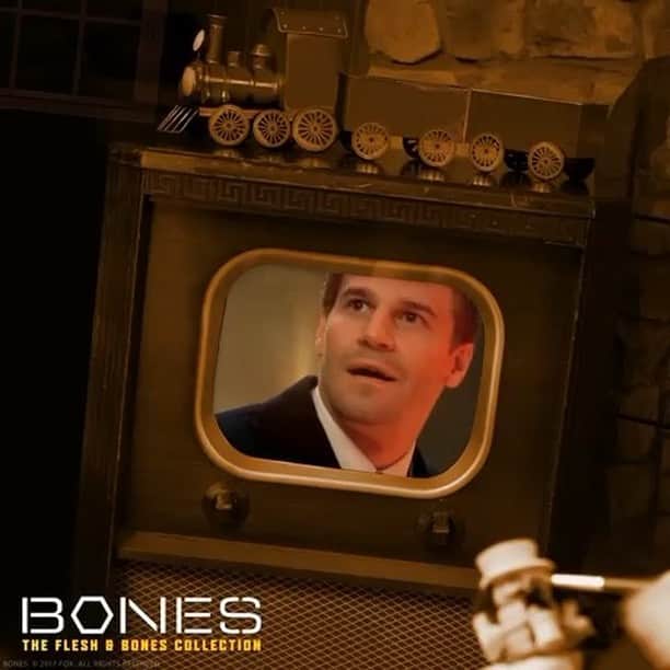 Bonesのインスタグラム：「Treat yourself with each exciting moment of Bones: Seasons 1-12, available now on @amazon.」