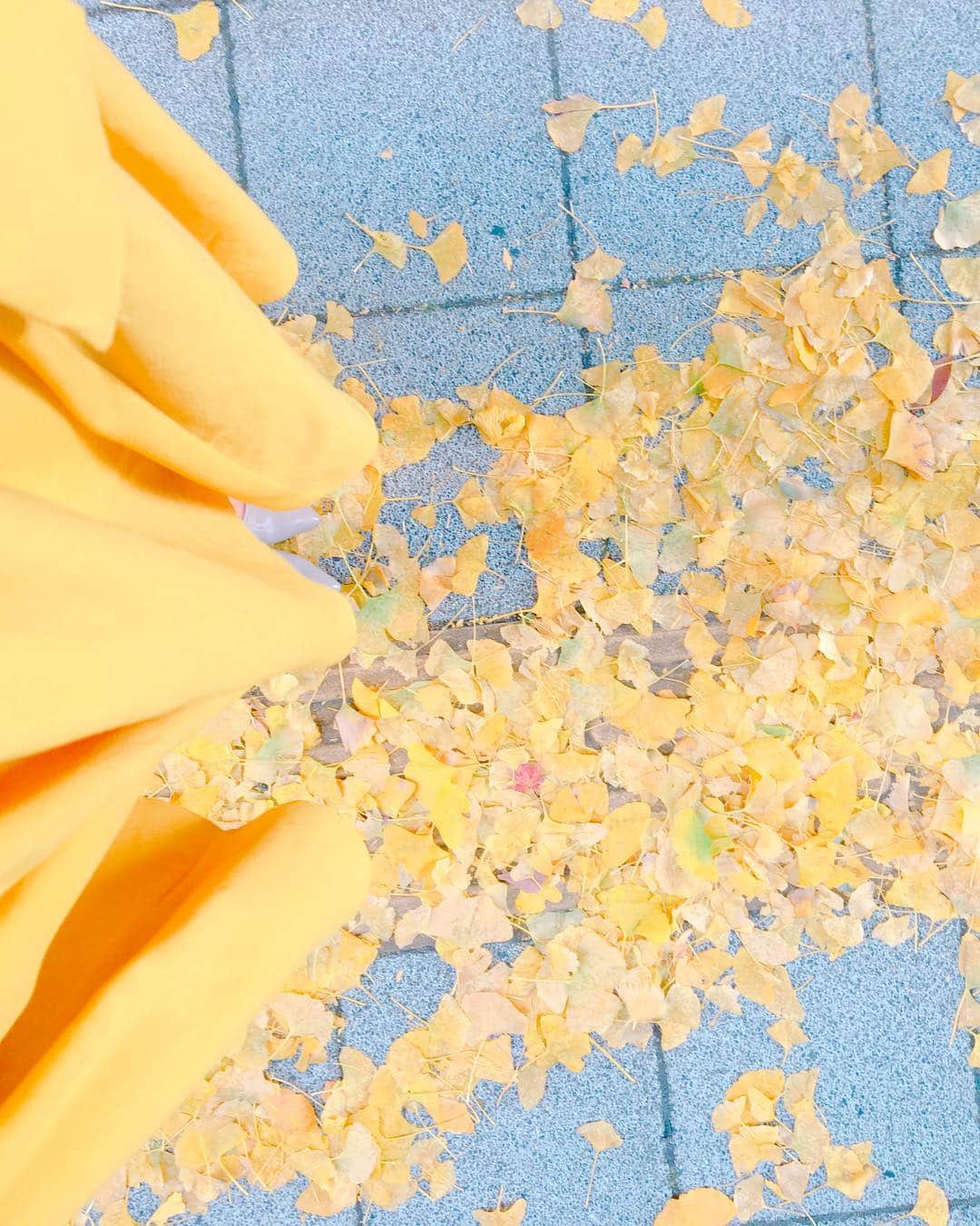 海老原優香さんのインスタグラム写真 - (海老原優香Instagram)「💛💛💛 ＊ 銀杏と私服のスカートが同じ黄色でした🌼 季節はすっかり秋を通り過ぎて冬🙄 すっかり寒くなってきましたね。 お体ご自愛ください。 ＊ ちなみに、 今日は富士山でロケをしています！🗻 ＊ #銀杏 #黄色コーデ  #富士山」12月16日 2時30分 - ebioffi