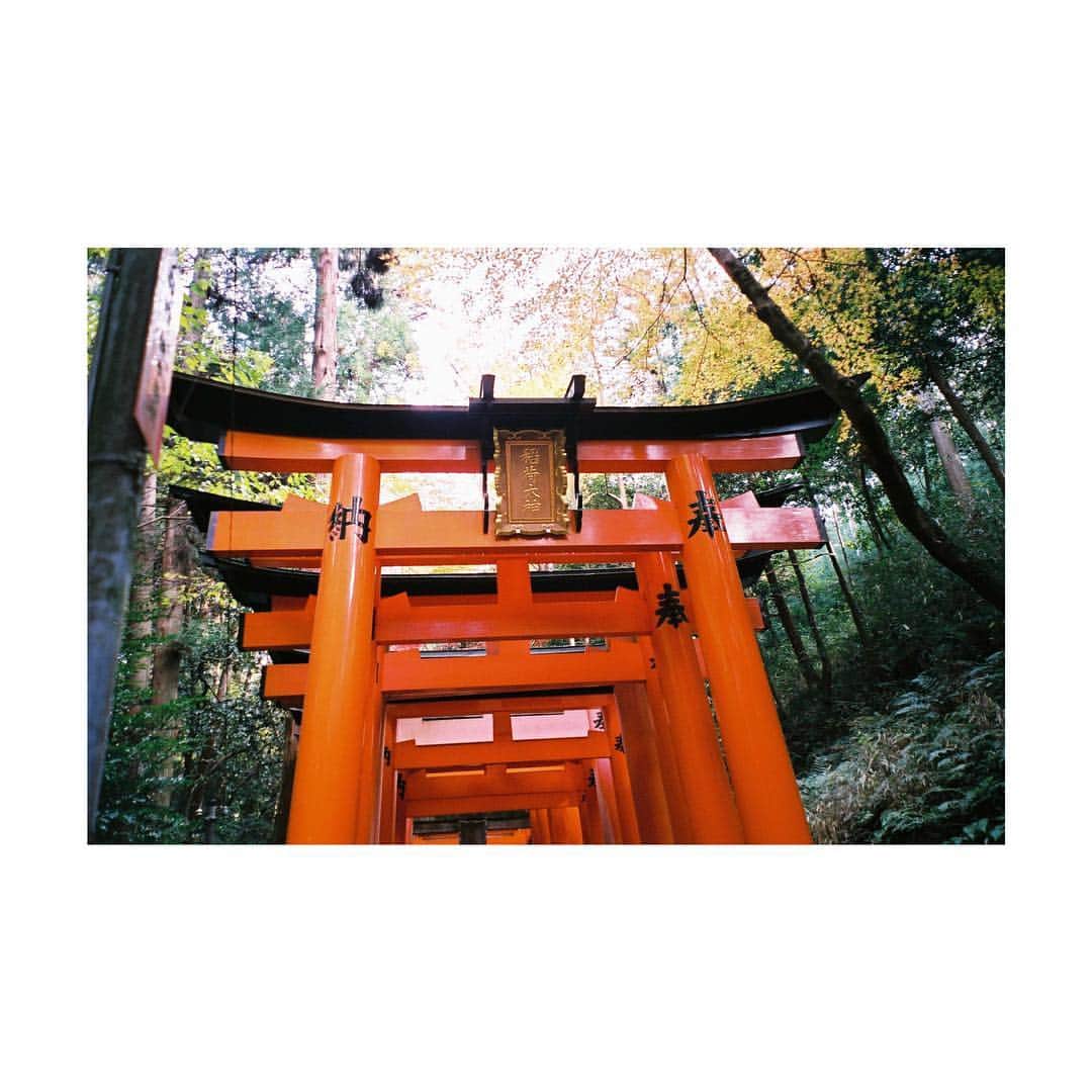 芳根京子さんのインスタグラム写真 - (芳根京子Instagram)「#film #京都」12月16日 12時35分 - yoshinekyoko
