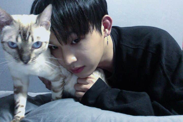 ヒョンシク さんのインスタグラム写真 - (ヒョンシク Instagram)「가지마아아아😿」12月16日 21時41分 - imhyunsik