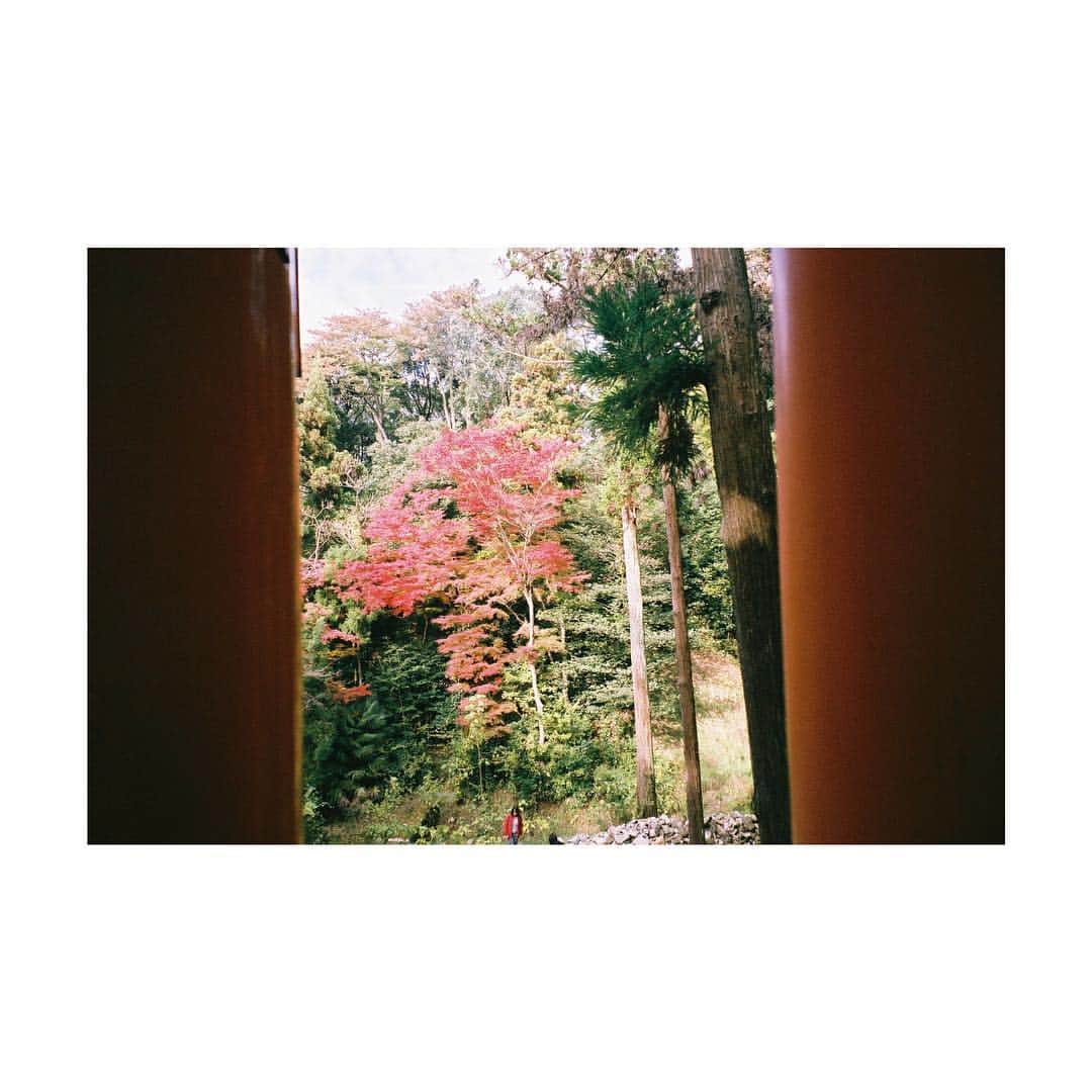 芳根京子さんのインスタグラム写真 - (芳根京子Instagram)「紅葉見れて良かったなぁ。  #film #京都」12月16日 19時55分 - yoshinekyoko