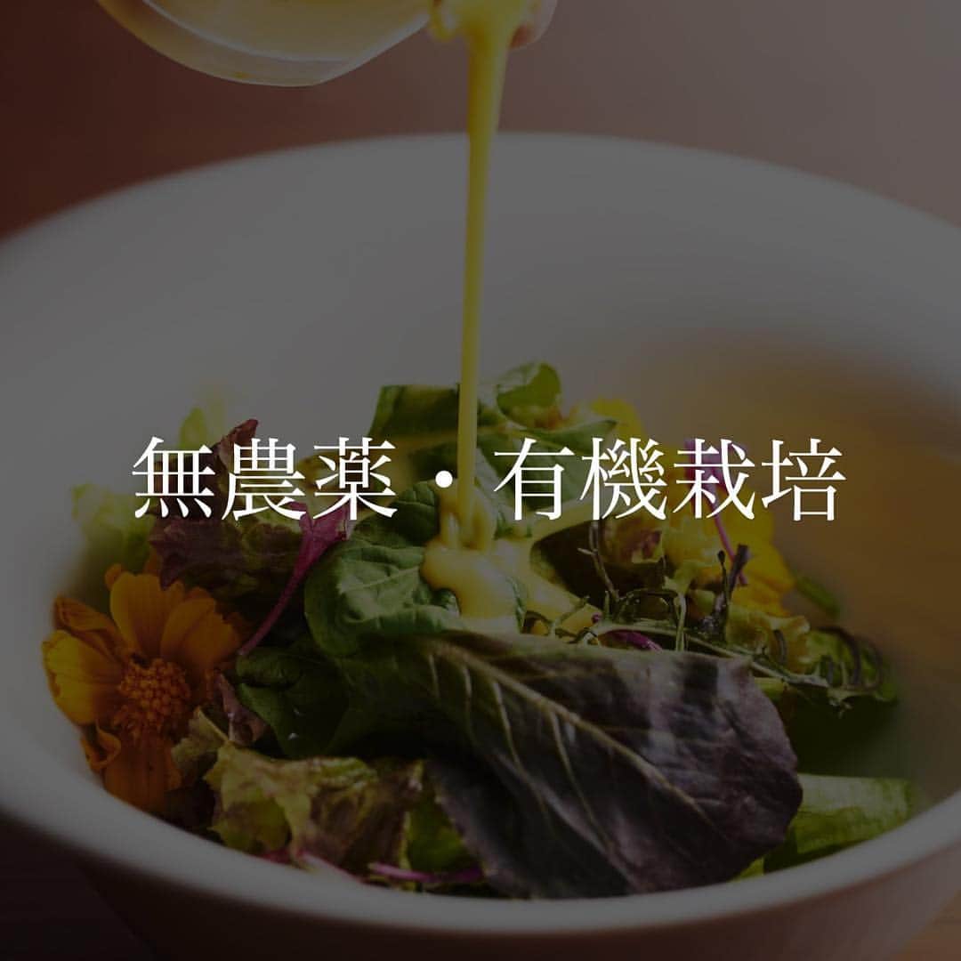 SION canteen&のインスタグラム：「. SION canteen& . 無農薬、有機栽培のお野菜を使ったSIONの野菜料理の数々😊 . #SION #sioncanteen #シオン #キャンティーンアンド #大阪 #淀屋橋 #北浜 #本町 #大阪ランチ #ランチ #野菜 #有機野菜 #旬 #食材 #季節 #料理 #ワイン #洋食の新しい形 #木 #温もり #空間 #無農薬 #有機栽培 #野菜 #vegetables」