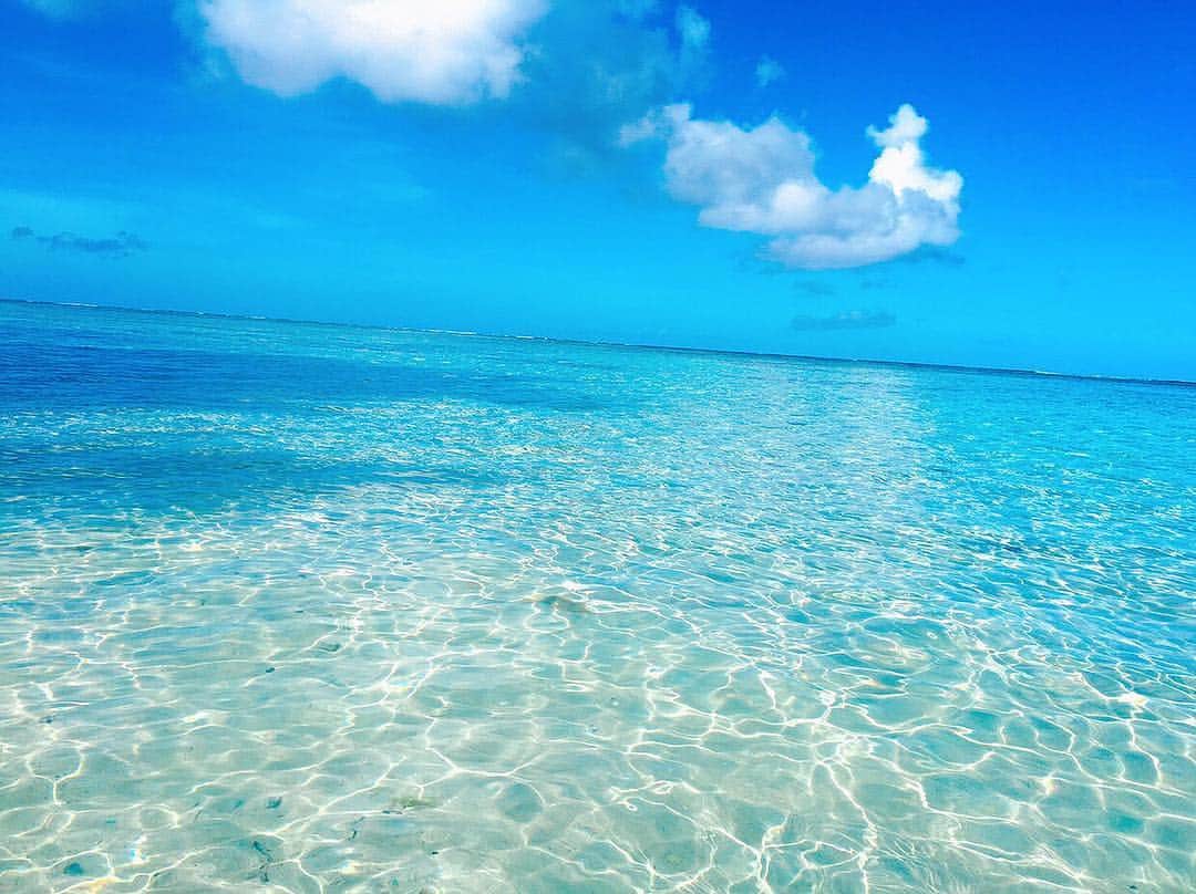 柳いろはさんのインスタグラム写真 - (柳いろはInstagram)「美。 の一言に尽きる。 ・ ・ 大好きなターコイズブルーの海💙 ・ ・ 自然は偉大🏝 ・ ・ サンゴ礁集めが楽しすぎた🐚 お部屋にかざろっと♡ ・ ・ #saipan #chamorro #sea #turquoiseblue # blue #sky #sunny☀️ #nature #自然 #蒼さ #美しさ #海が美しいとサンゴも綺麗 #果てしない海 #無になる瞬間 #今年最後の海外 #また来年会おうね #ありがとう」12月17日 0時31分 - irohayanagi