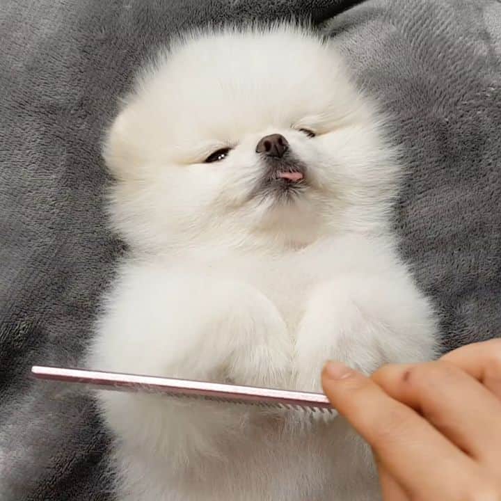 thesoy_yoonsoのインスタグラム