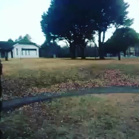 横山裕之のインスタグラム：「彩の森入間公園。  まさか写り込んでたとは・・・ #彩の森入間公園 #よしもと #天狗 #心霊 #今のところ何も起きてはいない」