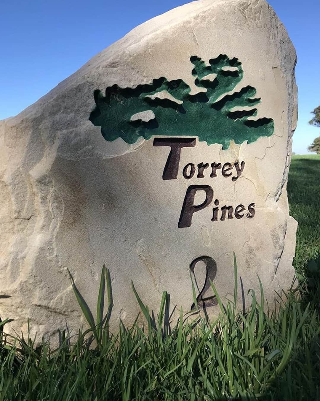 長野未祈さんのインスタグラム写真 - (長野未祈Instagram)「I played golf by Torrey Pines.It was very wonderful one day. I had 2 birdies and no bogeys on the 6,346-yard, par-72 course. Continuing from yesterday, There is no bogey. That became a wonderful memory.I will do my best so that golf becomes stronger.#torreypines #farmersinsuranceopen #sandiego」1月12日 15時04分 - minorinagano