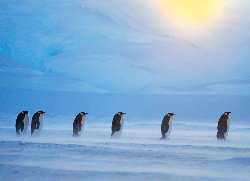 National Geographic Travelのインスタグラム