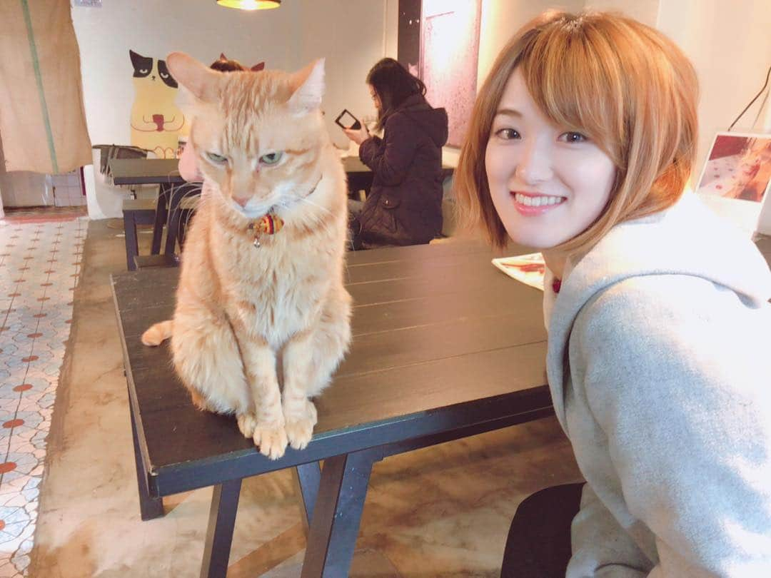 大後寿々花さんのインスタグラム写真 - (大後寿々花Instagram)「毛色がお揃いですね🐈  #taiwan #猴硐 #猫村 #cat」1月13日 13時25分 - suzuka_ohgo