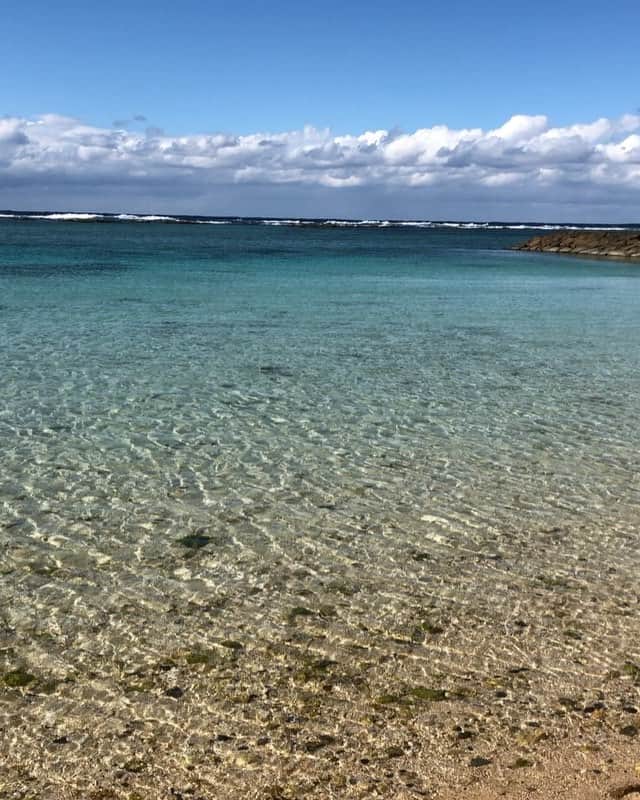 窪田忍のグルメインスタ