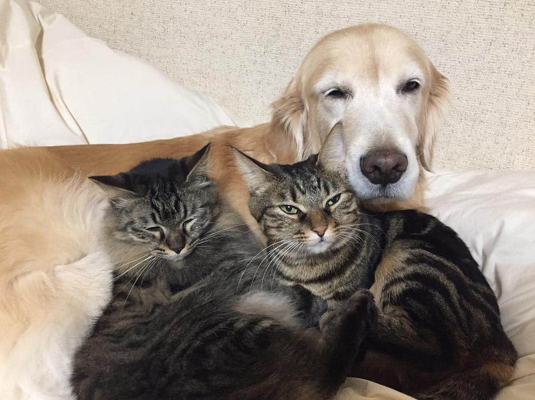 イチミ＆ポンズのインスタグラム
