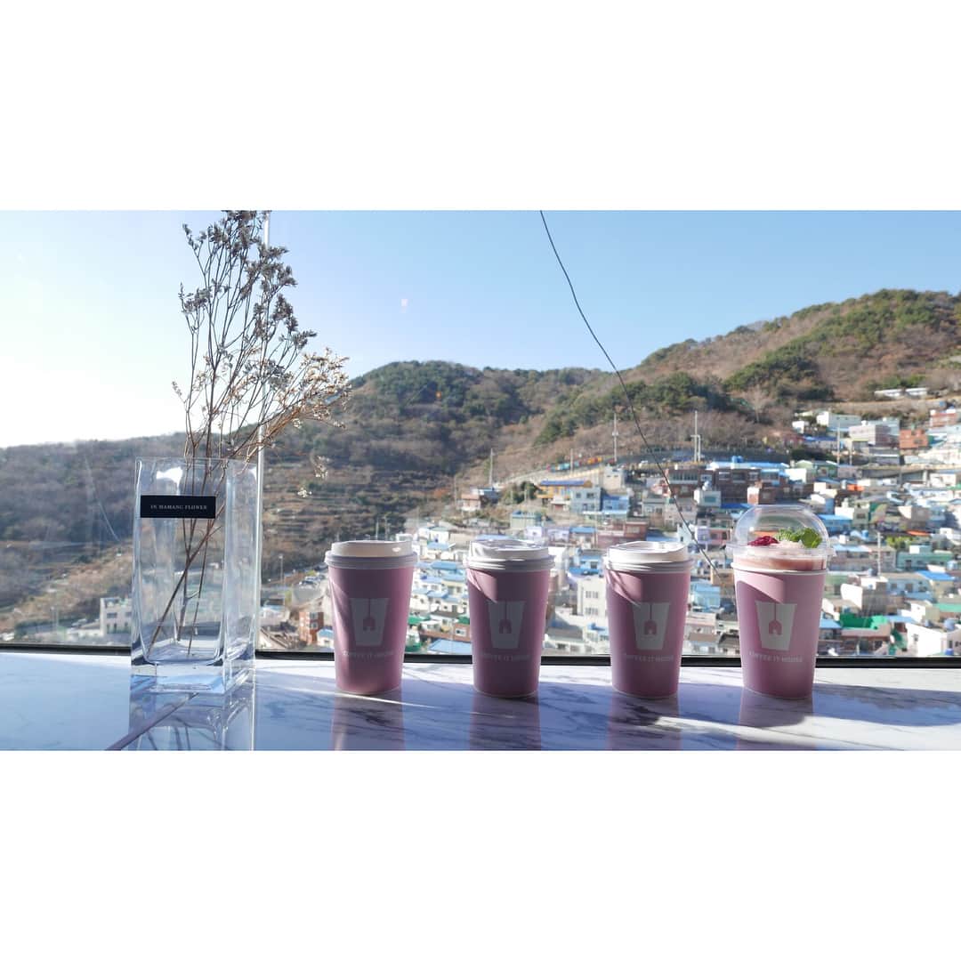青田夏奈さんのインスタグラム写真 - (青田夏奈Instagram)「COFFE IT HOUSE. ・ ・ 📍甘川文化村近く ・ ・ 光の回る綺麗な店内から見る眺めが最高👀 ・ ・ ・ ・ #韓国#釜山#釜山旅行#韓国旅行#旅行#タビジョ#バースデー旅行#旅muse#女子旅#旅行好きな人と繋がりたい#カメラ好きな人と繋がりたい#カメラ女子#カフェ巡り#カフェ#釜山カフェ#韓国カフェ#カフェ好き#甘川文化村#釜山のマチュピチュ#matincoffeeroasters#trip#travel#genic_travel#tabijyo#busan#coffeithouse #tabijyo_cafe#커피잇집」1月14日 18時10分 - kana_aota