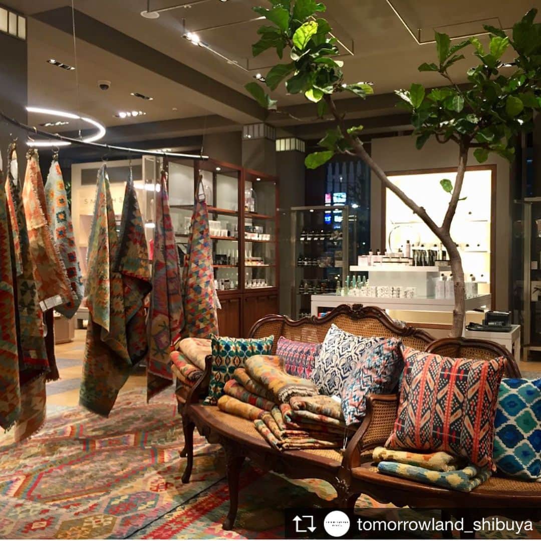 TOMORROWLAND_Womensのグルメインスタ