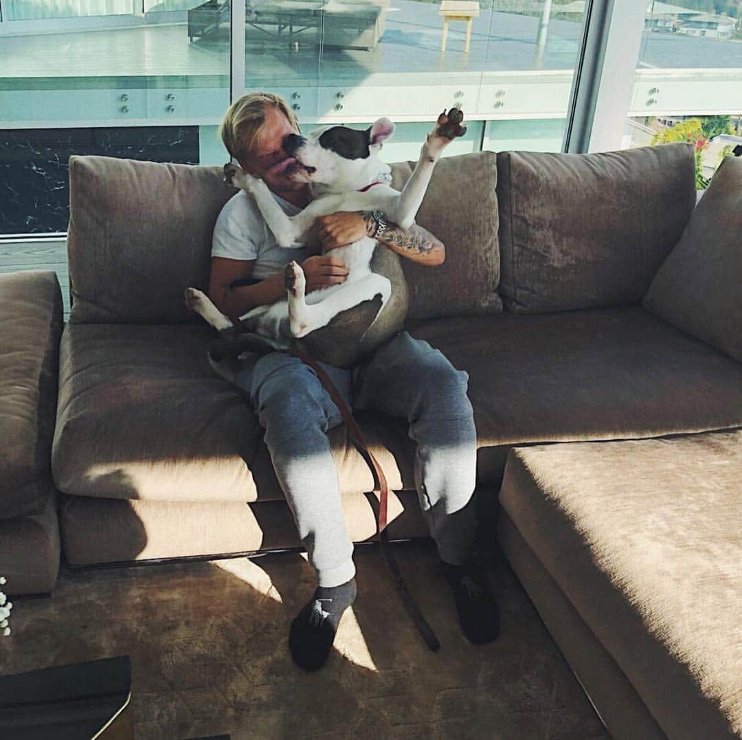 Aviciiのインスタグラム：「A cuddle a day keeps the instinct away. (The hunting instinct.) (Just kidding.)」