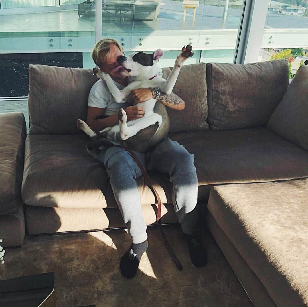 のインスタグラム：「A cuddle a day keeps the instinct away. (The hunting instinct.) (Just kidding.)」