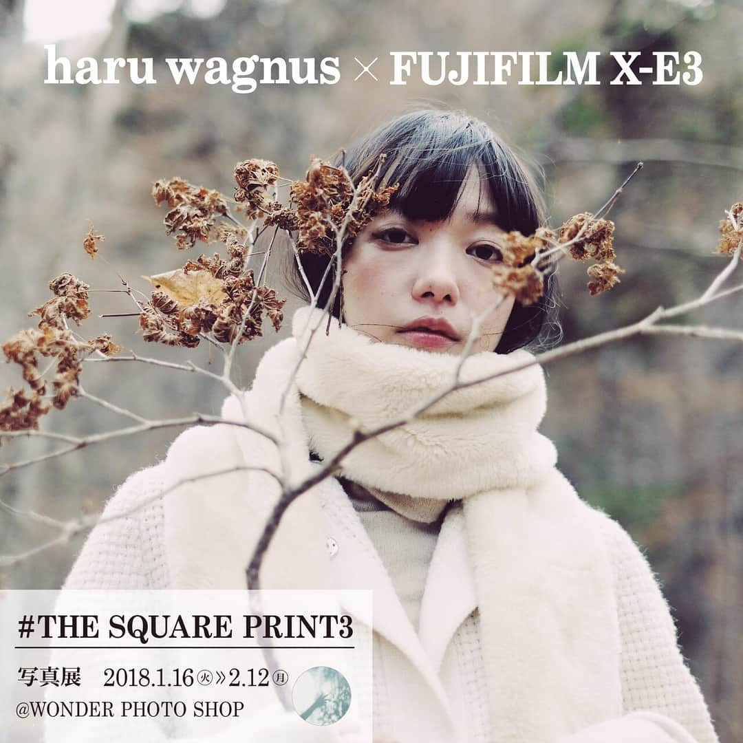 ＮＯＢＵのインスタグラム：「. 「THE SQUARE PRINT3」 . 明日1/16より、原宿の富士フイルムWONDER PHOT SHOPにて 「THE SQUARE PRINT」第三弾が開催されます。 . @wagnus さんのFUJIFILM XE3撮影によるスクエア写真の他、6名のフォトグラファーのスクエア写真が展示されます。 . さらに来場者の方々が参加できるスクエア写真展も実施されるそうです。 . みなさま是非お越しください。 . 2018.1.16Thu〜2.12Mon 11：00〜19:00 . 詳しくは @wonderphotoshop のプロフィールのURLをご覧ください。 . http://wonderphotoshop.jp/exhibiton/thesquareprint3html . #THESQUAREPRINT #THESQUAREPRINT3 #ましかくプリント . . . . . . . . . . #fujifilm #japan #tokyo #harajuku #instagram #instagramjapan #vsco #vscocam #instagood #instapic #instalike #fashion #magazine #film #filmphoto #filmphotography #art #igers #photo #portrait #photographer #shooting #photoshoot #ポートレート #富士フイルム #東京 #原宿」