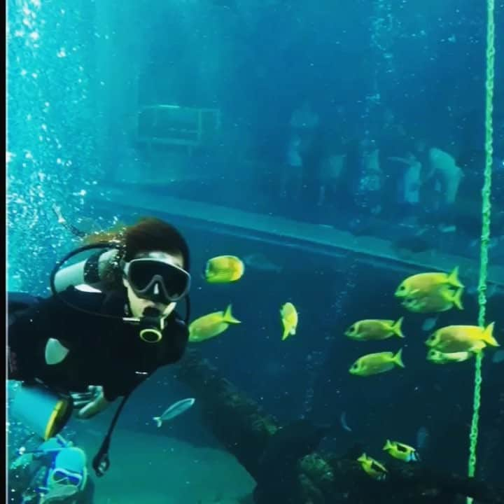 深田恭子のインスタグラム：「水族館の水槽の中で魚の餌やりをするシーンがありました🐠魚達が餌を求めてびっくりする程追いかけて来たぁ🐟‼️❣️ #隣の家族は青く見える #ダイビングインストラクター役 #@tonarinokazoku #kyokofukada」