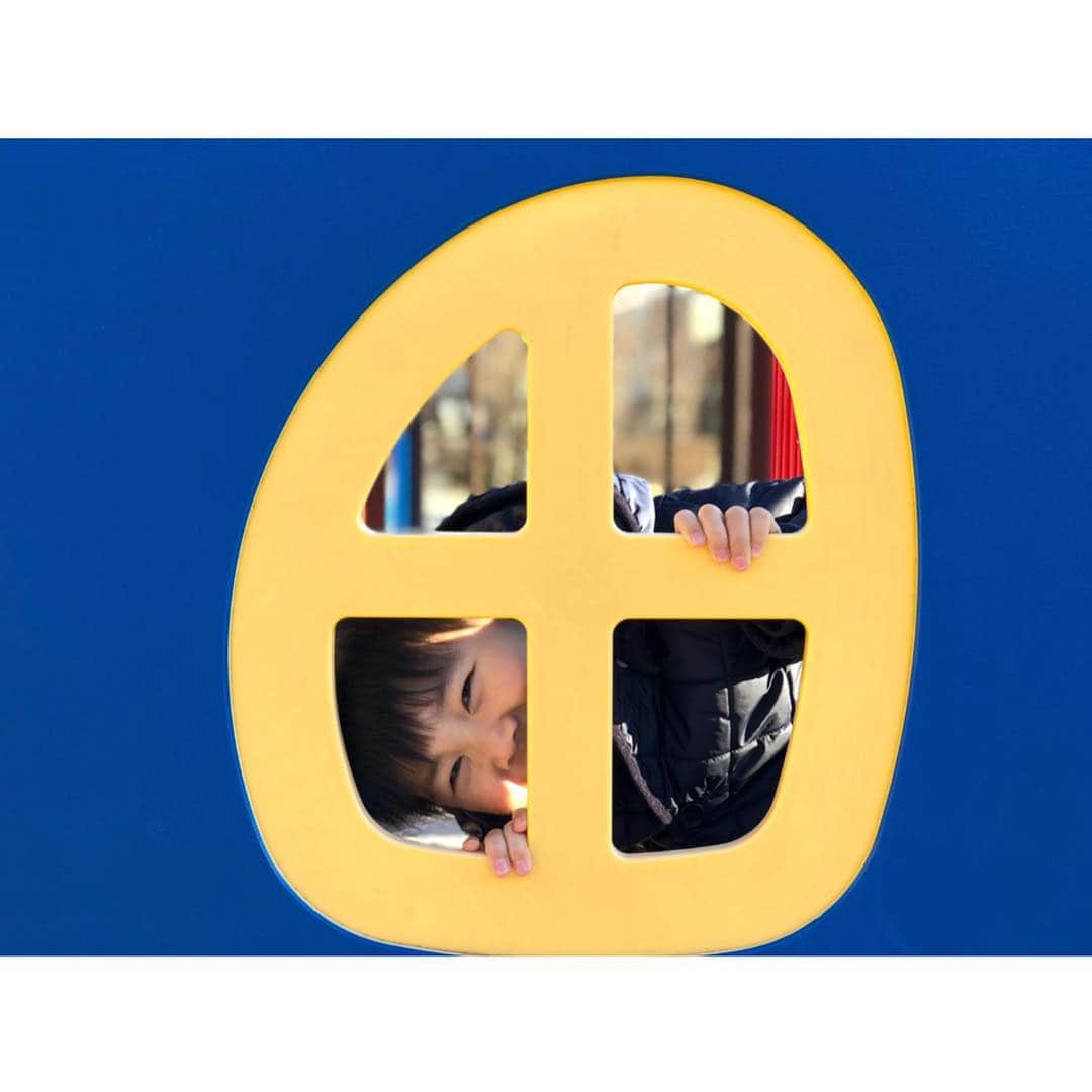 のインスタグラム：「👀What can you see?  毎日寒いけれど、彼は元気です☺︎」