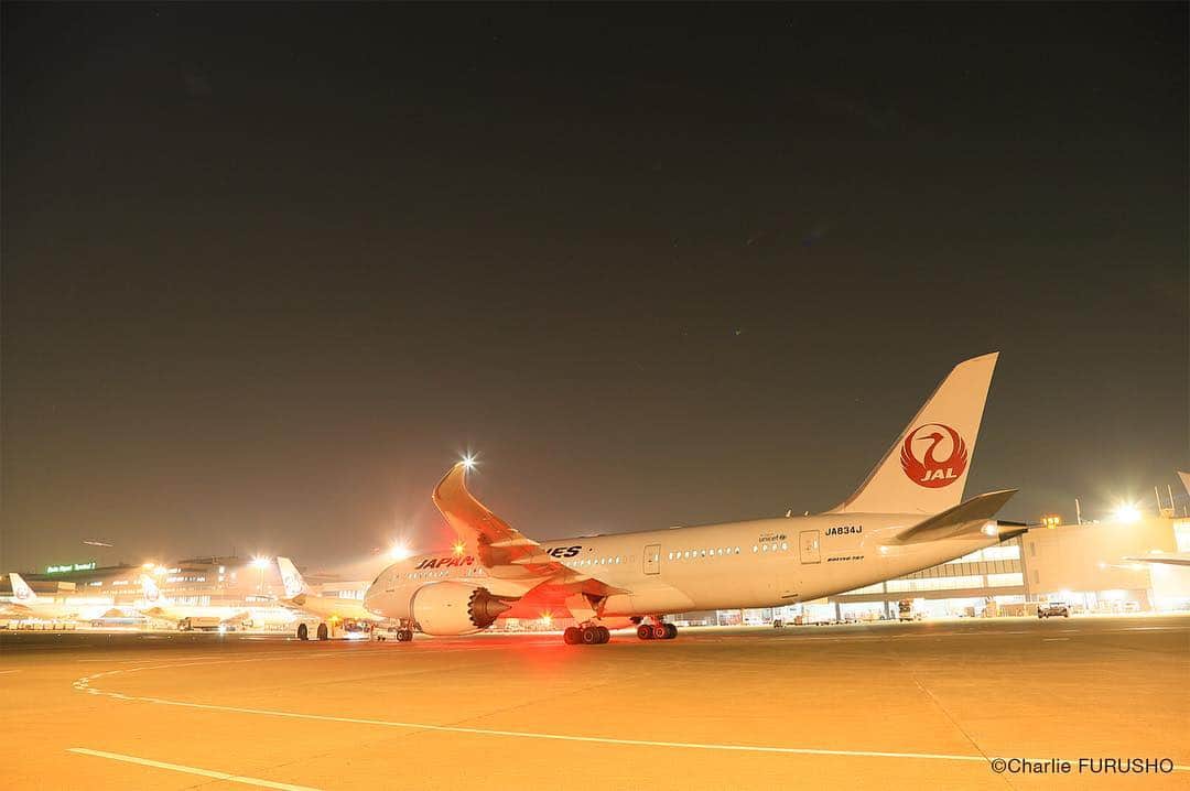 JALさんのインスタグラム写真 - (JALInstagram)「All set, ready for takeoff🌃🛫 #飛行機 #鶴丸 #旅 #夜の空港 #japan #airport #airplane #NightAirport #ExploreJapan #TravelJapan #travel #JAL #FlyJAL #JapanAirlines」1月15日 17時56分 - japanairlines_jal