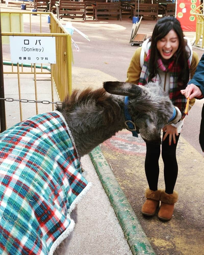 土屋太鳳さんのインスタグラム写真 - (土屋太鳳Instagram)「「ぴったんこカン・カンスペシャル」を 観てくださった方々 コメントや心を 寄せてくださった方々、 本当に本当に本当に ありがとうございました…！！！ ず～っと参加してみたくて なかなか機会がなかった 「ぴったんこカン・カン」での収録。 本当に楽しかったし まいう～でした…！！！！！ この楽しさや美味しさが 画面を通して伝わってたら嬉しいです✨  ということで さっきの続き！！！ ロバは、 たける先輩のニンジンにつられて 動いてしまったのでした…！ 気持ち、わかるわ…🥕 でも実はこのロバ、 この前の写真を よく見ると分かるのですが たける先輩の目と目が合ってるんですよ。 しかも、 たける先輩もニンジン方向に 傾いてるんです。 だからもしかしたら たける先輩につられてるのかも…笑  さっきも書いたのですが 新聞やラジオや雑誌やテレビで 心をこめてお伝えしてきた 映画「８年越しの花嫁 奇跡の実話」は キャンペーンそのものは 一段落するのですが 末永く愛していただけるよう 願いをこめて これからも撮影での写真など 許可をいただけたものから 載せていきたいと思います^ ^  ぜひぜひぜひ！！！ 観に来てください ^ ^  どのかたも、あたたかな夜を…＊」12月23日 0時08分 - taotsuchiya_official