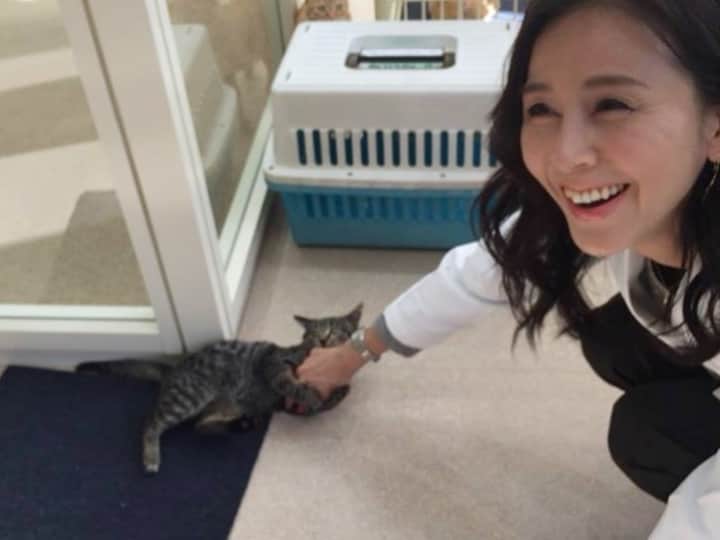 杉本彩さんのインスタグラム写真 - (杉本彩Instagram)「本日、大阪府動物愛護管理センター（アニマルハーモニー大阪）を視察させていただきました❗️ 大阪府羽曳野市にある、今年8月に開設した立派なセンターです。 光が降り注ぐ猫の室内飼育体験室では、職員の方が、シャーシャー猫も人慣れさせ、みなゆったりと伸びやかに過ごしていました。 観察エリアと譲渡対象エリアは、館内全体がブルーとピンクに色分けされ、人も視認性高く作られています。 視察のあとは、大阪府の動物虐待事案についての取組みについて、ヒアリングさせていただきました。 #公益財団法人動物環境福祉協会Eva #大阪府動物愛護管理センター #アニマルハーモニー大阪  #動物愛護」12月23日 1時09分 - sugimoto_aya0719