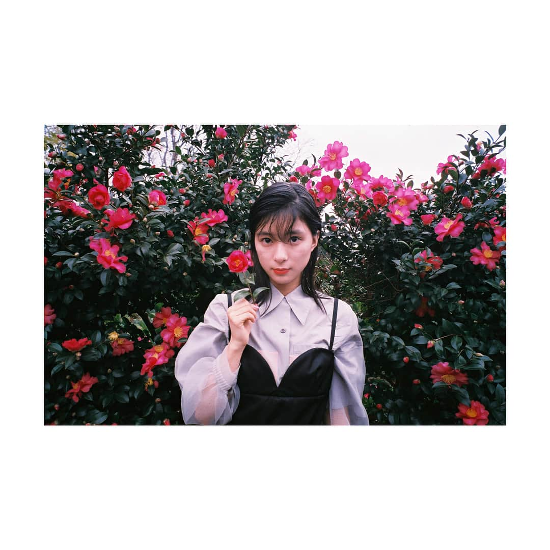 芳根京子さんのインスタグラム写真 - (芳根京子Instagram)「#SPRiNG #発売中 #film」12月23日 10時22分 - yoshinekyoko