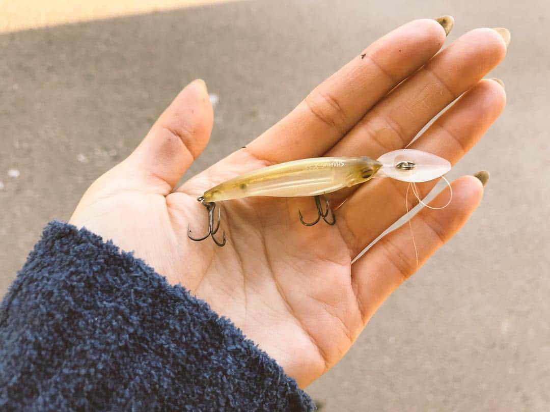 疋田星奈のインスタグラム