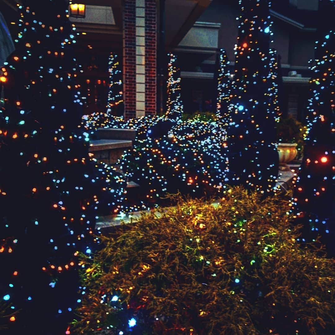 nazonokuniのインスタグラム：「諏訪の国のクリスマスは、何故か、どこよりもロマンチックらしい。  #クリスマス #どこよりも #ロマンチック  #諏訪の国 #謎の国諏訪の国 #藤森慎吾 #Japan #nagano #suwa #christmas #romantic #mysterios land #wonderfuldestinations #japantrip #japantravel #traveljapan #japanholiday #instajapan #instagramjapan #cooljapan #visitjapan #lovers_nippon #ig_japan #jp_gallery #icu_japan」