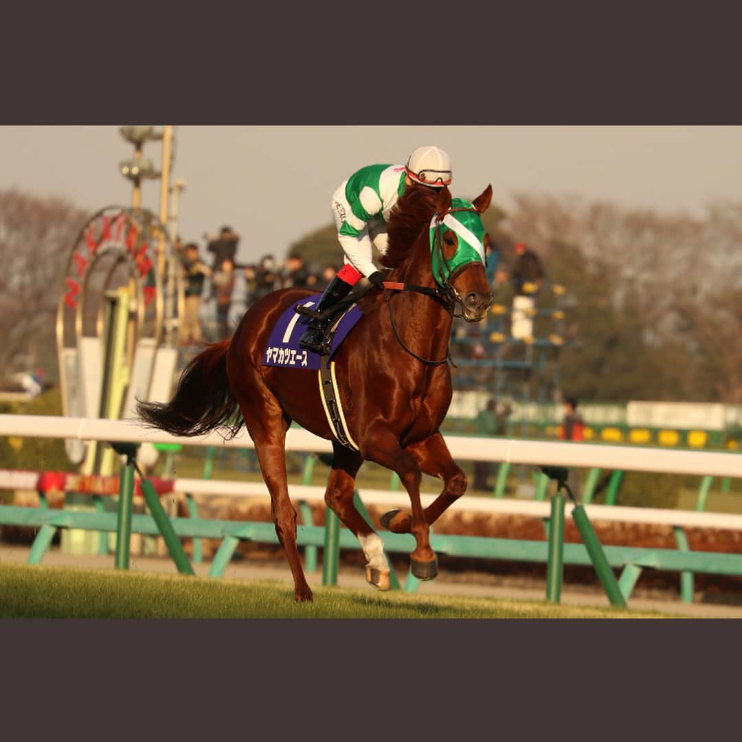 池添謙一さんのインスタグラム写真 - (池添謙一Instagram)「100回目の投稿は有馬記念勝ちましたの投稿にしたかった… 99回目の投稿でいろんな方に応援していただいて報告したかったんですけど、すいませんでした。 絶好枠を引いて隣がキタサンブラックの並び、勝ちに行くならあそこの位置だと思って取りにいってレースしました。 自分の中では悔いはないです。 何を言われてもしょうがないです、  また頑張ります応援してください🐴 #ヤマカツエース #有馬記念」12月24日 21時46分 - kenchan.0723