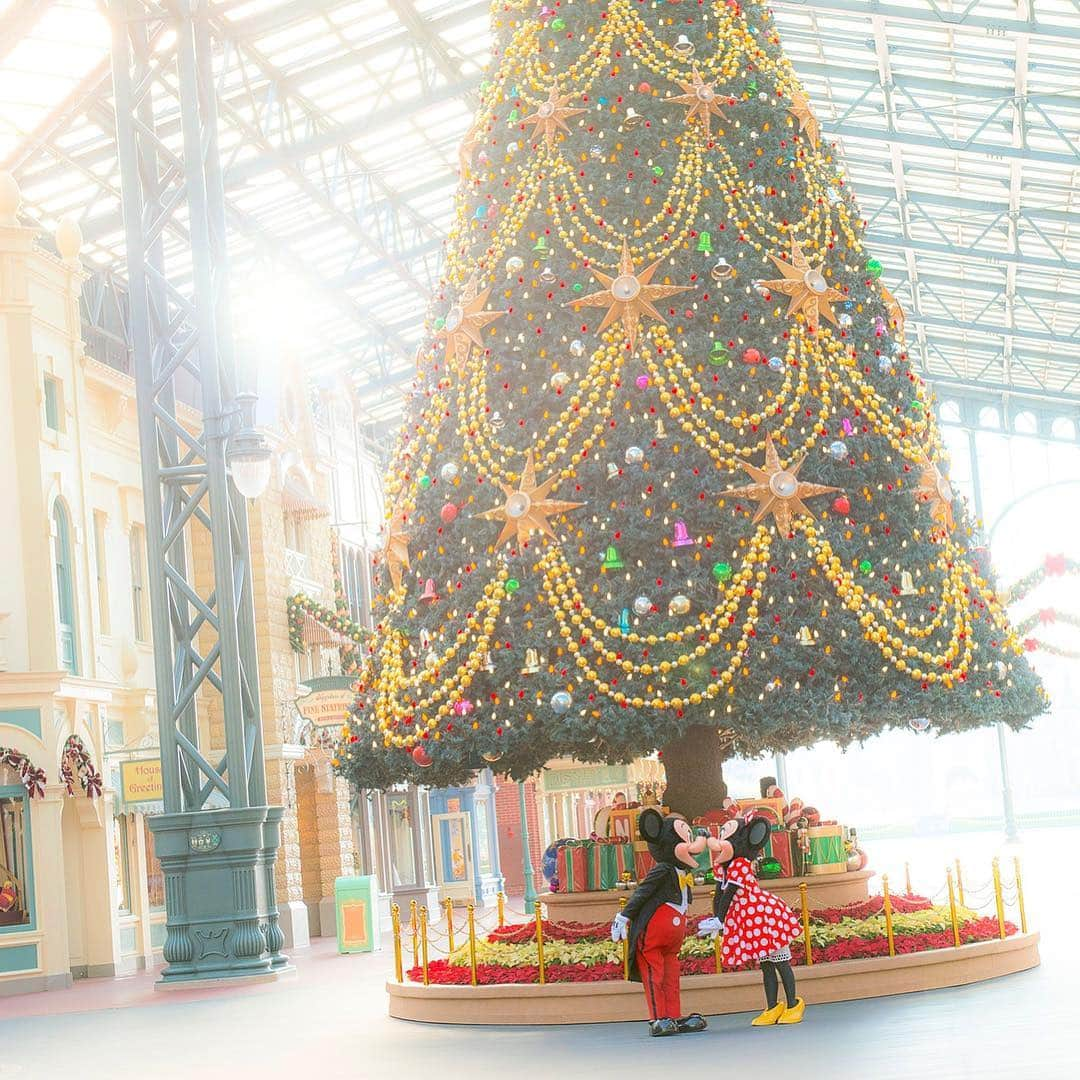 東京ディズニーリゾートさんのインスタグラム写真 - (東京ディズニーリゾートInstagram)「Wishing you have a wonderful holiday! すてきなクリスマスを💕 #christmastree #mickey #minnie #worldbazaar #christmasfantasy #tokyodisneyland #tokyodisneyresort #ミッキー #ミニー #クリスマスツリー #クリスマスファンタジー #ワールドバザール #東京ディズニーランド #東京ディズニーリゾート」12月25日 11時01分 - tokyodisneyresort_official