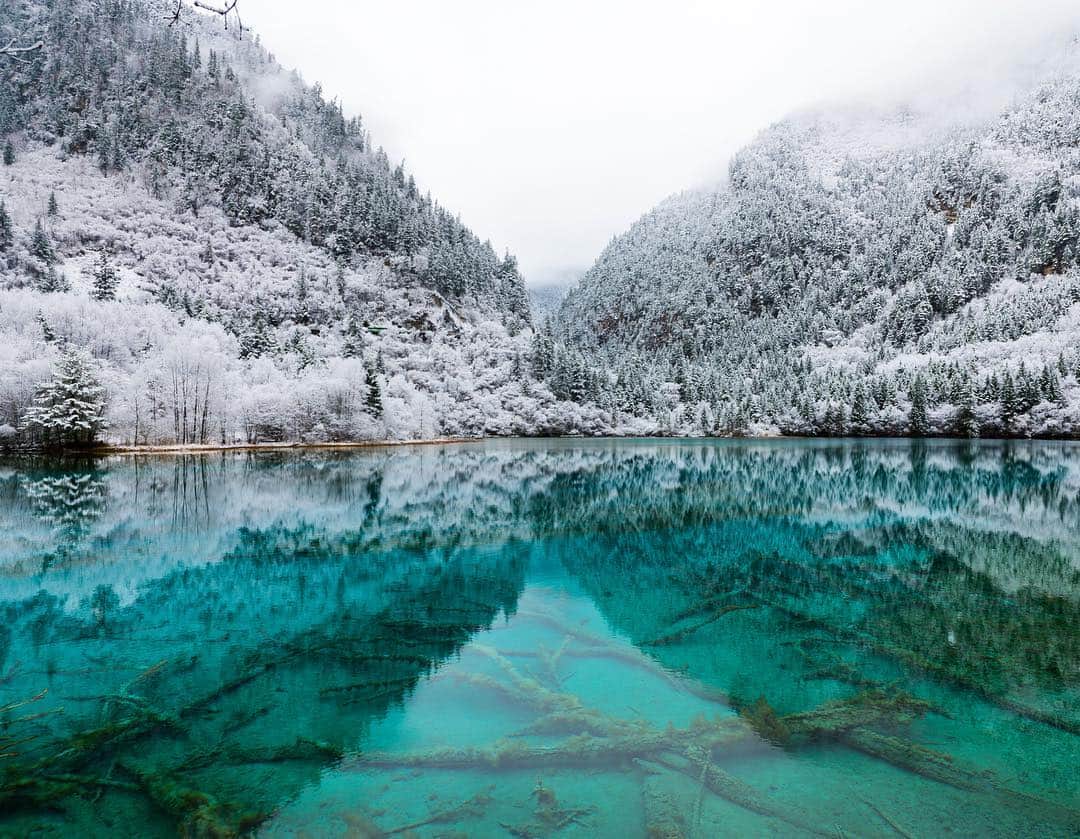 Michael Yamashitaさんのインスタグラム写真 - (Michael YamashitaInstagram)「Winter reflection frozen in time, Jiuzhaigou National Park. Happy Holidays! #winterwonderland  #snow #jiuzhaigou #sichuan #china @natgeo @natgeocreative @supchinanews @thesilkroadjourney」12月25日 6時46分 - yamashitaphoto