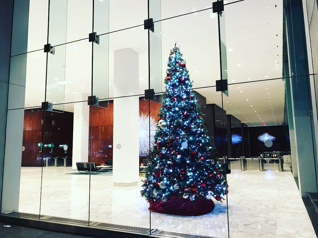 綾部祐二さんのインスタグラム写真 - (綾部祐二Instagram)「Merry Christmas」12月25日 8時55分 - yujiayabe