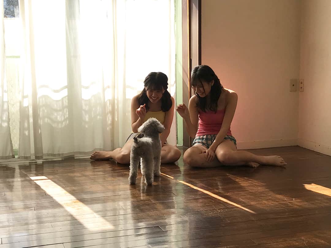 高寺沙菜のインスタグラム：「FLASHスペシャルの発売日🐻💓 プラスクリスマスということでオフショットプレゼント🎅🏻🎄💕 楽しかったな〜🐰💓」