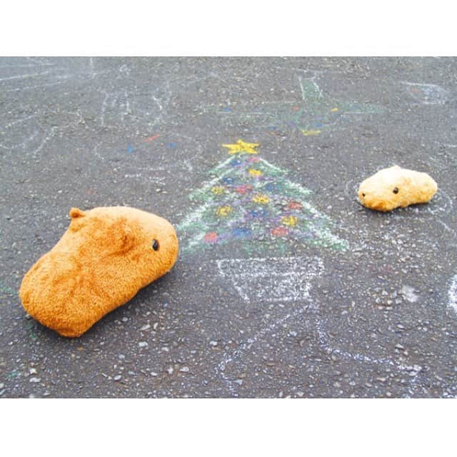 カピバラさんさんのインスタグラム写真 - (カピバラさんInstagram)「メリーキュリスマス！ . #カピバラさん #KAPIBARASAN  #カピバラさんと一緒 #水豚君 #クリスマス #クリスマスツリー」12月25日 15時16分 - kapibarasan.official