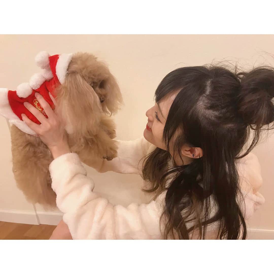 山本彩さんのインスタグラム写真 - (山本彩Instagram)「メリークリスマス✺◟(∗❛ัᴗ❛ั∗)◞✺ #merrychristmas 🎅🎄🎁 #サンタ #音遠」12月25日 15時55分 - sayaka__714