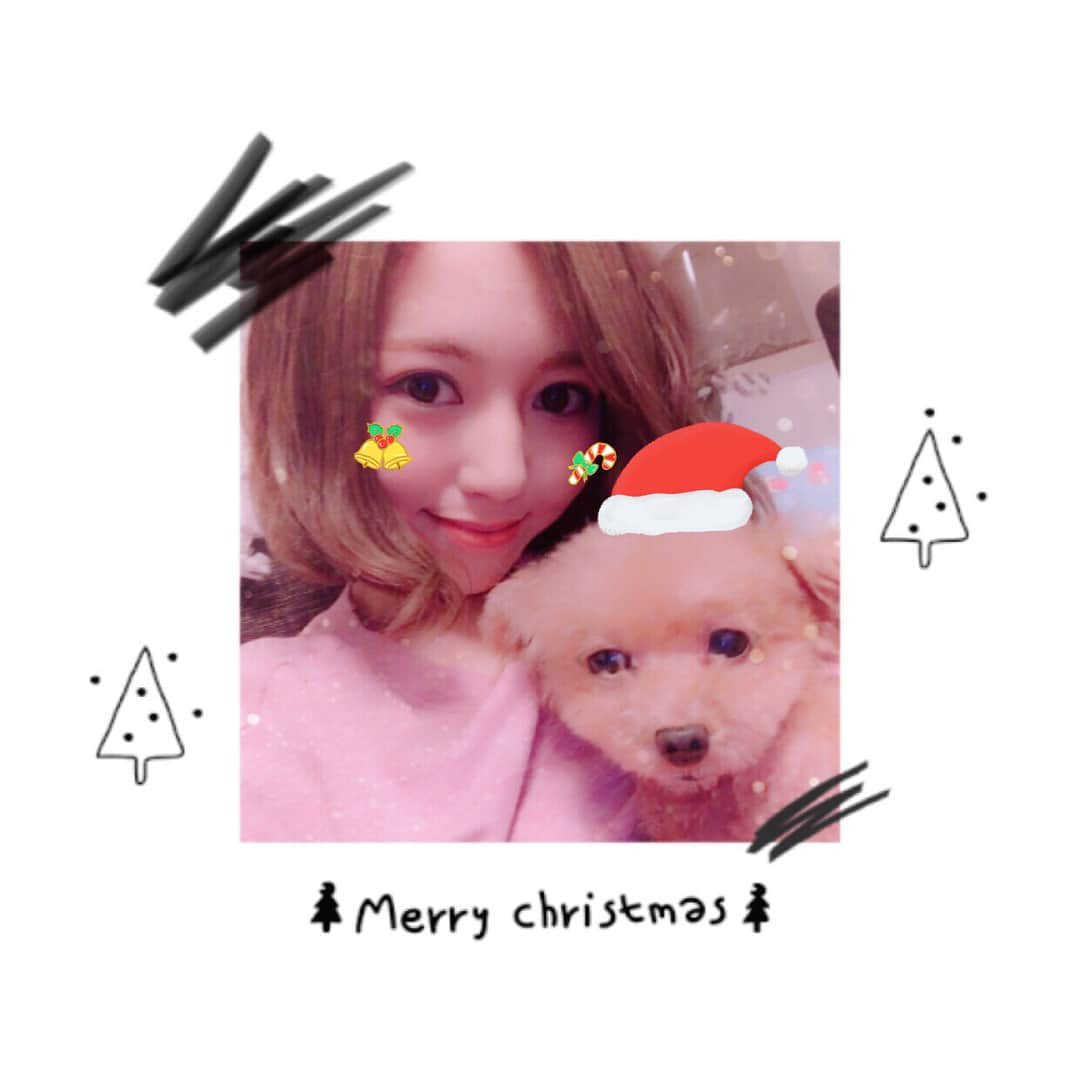 希志あいののインスタグラム：「‪゜:。* ゜.MerryX'mas゜:。* ゜.‬ ‪✨🎄🎁🎂🍸🎅💕🎄✨‬ ‪素敵なクリスマスを👐🐶💓‬ ‪#大きいチキン食べたい #手作りサンタさん #メリークリスマス #自撮りに慣れない犬 #可愛い」