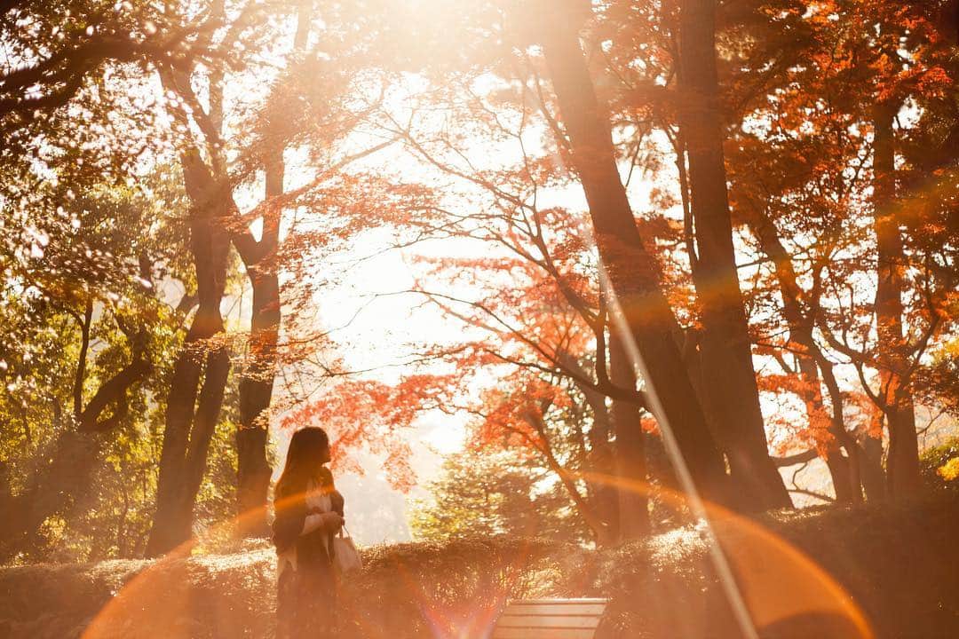 antibac2k_official from Tokyo Japanのインスタグラム：「-Merry Christmas- #写真 #写真好きな人と繋がりたい #写真撮ってる人と繋がりたい #ファインダー越しの私の世界」